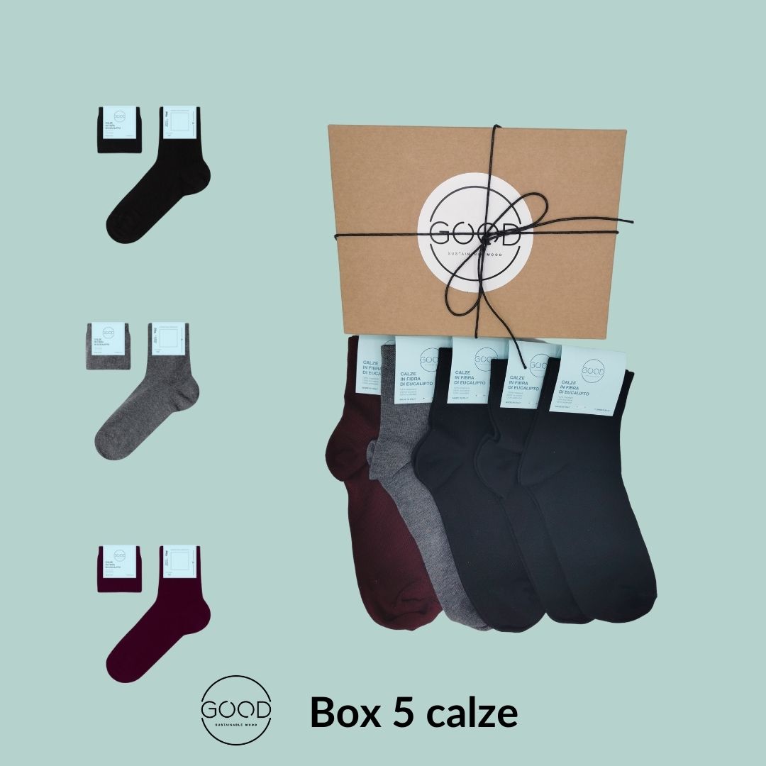 Box 5 calze